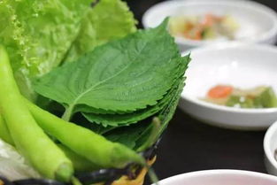 黑豆粥的做法和功效(黑豆粥的做法和功效窍门),第3张 黑豆粥的做法和功效(黑豆粥的做法和功效窍门),黑豆粥的做法和功效(黑豆粥的做法和功效窍门),第3张