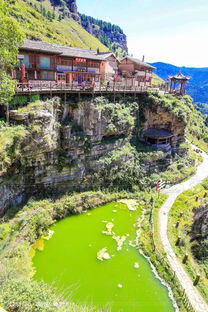 办公楼装修：九里香的养护技巧，做个香气浓郁的植物爱好者,办公楼装修：九里香的养护技巧，做个香气浓郁的植物爱好者,第1张