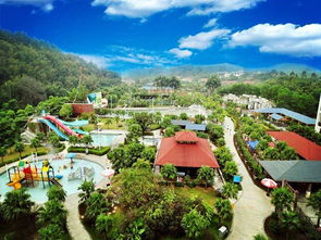 家常菜爆炒鱿鱼(爆炒鱿鱼的做法),第3张 家常菜爆炒鱿鱼(爆炒鱿鱼的做法),家常菜爆炒鱿鱼(爆炒鱿鱼的做法),第3张