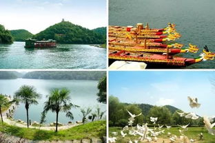 蒜苗怎么炒好吃的做法（蒜苗怎么炒好吃的做法窍门）,蒜苗怎么炒好吃的做法（蒜苗怎么炒好吃的做法窍门）,第1张