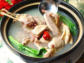 鸭子汤怎么做好吃又简单的做法(鸭子汤怎么做好吃?),第2张 鸭子汤怎么做好吃又简单的做法(鸭子汤怎么做好吃?),鸭子汤怎么做好吃又简单的做法(鸭子汤怎么做好吃?),第2张