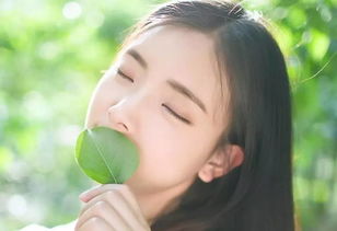 上海浦东写字楼装修:如何运用自然元素打造精致园林?,第3张 上海浦东写字楼装修:如何运用自然元素打造精致园林?,上海浦东写字楼装修:如何运用自然元素打造精致园林?,第3张