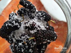 桑葚酒的功效怎么样(桑葚酒的功效和禁忌),第2张 桑葚酒的功效怎么样(桑葚酒的功效和禁忌),桑葚酒的功效怎么样(桑葚酒的功效和禁忌),第2张