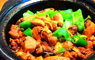 正宗黄焖鸡块的家常做法(黄焖鸡块的做法 最正宗的做法窍门),第1张 正宗黄焖鸡块的家常做法(黄焖鸡块的做法 最正宗的做法窍门),正宗黄焖鸡块的家常做法(黄焖鸡块的做法 最正宗的做法窍门),第1张