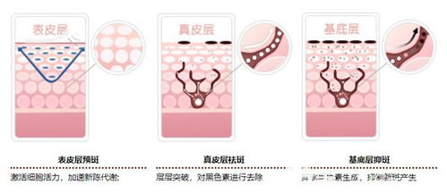 小服装店装修效果图(小服装店装修效果图),第3张 小服装店装修效果图(小服装店装修效果图),小服装店装修效果图(小服装店装修效果图),第3张