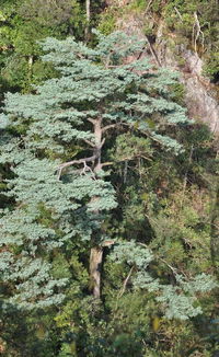 广东周边游(广东周边游玩靠前景点自驾游),第1张 广东周边游(广东周边游玩靠前景点自驾游),广东周边游(广东周边游玩靠前景点自驾游),第1张