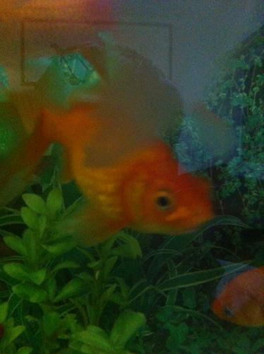 办公室装修报价:探讨淋浴房防爆贴膜的实用性,第3张 办公室装修报价:探讨淋浴房防爆贴膜的实用性,办公室装修报价:探讨淋浴房防爆贴膜的实用性,第3张