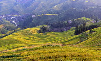 阳朔龙脊梯田(阳朔龙脊梯田图片),第3张 阳朔龙脊梯田(阳朔龙脊梯田图片),阳朔龙脊梯田(阳朔龙脊梯田图片),第3张