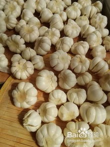 糖蒜的腌制方法家常简单（糖蒜的腌制方法妙招姐）,糖蒜的腌制方法家常简单（糖蒜的腌制方法妙招姐）,第3张