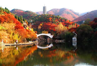 无锡好玩的地方一日游(无锡好玩的地方一日游有哪些),第3张 无锡好玩的地方一日游(无锡好玩的地方一日游有哪些),无锡好玩的地方一日游(无锡好玩的地方一日游有哪些),第3张