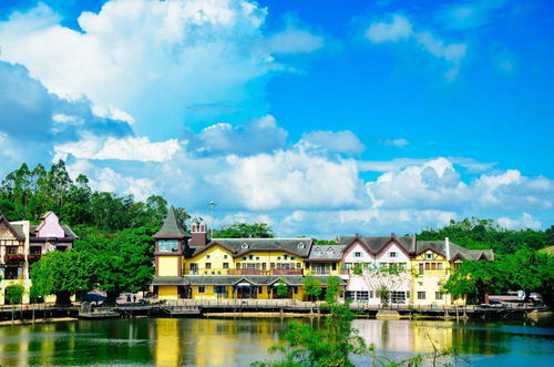 羊肉汤的做法(羊肉汤的做法视频教程大全),第2张 羊肉汤的做法(羊肉汤的做法视频教程大全),羊肉汤的做法(羊肉汤的做法视频教程大全),第2张