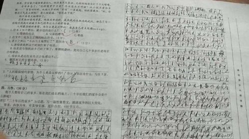 装修材料知识(装修材料主要有哪些),第3张 装修材料知识(装修材料主要有哪些),装修材料知识(装修材料主要有哪些),第3张