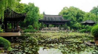 鲈鱼怎么烧好吃(鲈鱼怎么烧好吃视频),第3张 鲈鱼怎么烧好吃(鲈鱼怎么烧好吃视频),鲈鱼怎么烧好吃(鲈鱼怎么烧好吃视频),第3张