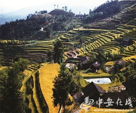 办公室装潢设计:如何正确地维护家用燃气热水器?,第2张 办公室装潢设计:如何正确地维护家用燃气热水器?,办公室装潢设计:如何正确地维护家用燃气热水器?,第2张