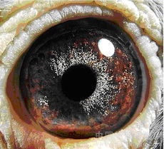 装修公司报价:如何保证水质检测的准确性?,第3张 装修公司报价:如何保证水质检测的准确性?,装修公司报价:如何保证水质检测的准确性?,第3张