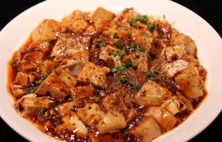 麻婆豆腐是川菜还是湘菜(麻婆豆腐是四川名菜吗),第2张 麻婆豆腐是川菜还是湘菜(麻婆豆腐是四川名菜吗),麻婆豆腐是川菜还是湘菜(麻婆豆腐是四川名菜吗),第2张