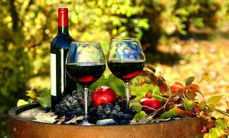 怎样自制葡萄酒视频教程(葡萄酒怎么做好喝吗一斤糖几斤葡萄),第3张 怎样自制葡萄酒视频教程(葡萄酒怎么做好喝吗一斤糖几斤葡萄),怎样自制葡萄酒视频教程(葡萄酒怎么做好喝吗一斤糖几斤葡萄),第3张