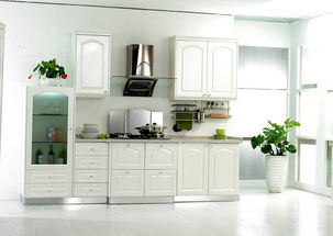 澳柯玛整体厨房(澳柯玛厨柜),第3张 澳柯玛整体厨房(澳柯玛厨柜),澳柯玛整体厨房(澳柯玛厨柜),第3张