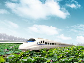 办公装潢:从装修到生活方式——尚层别墅的家居设计,第1张 办公装潢:从装修到生活方式——尚层别墅的家居设计,办公装潢:从装修到生活方式——尚层别墅的家居设计,第1张