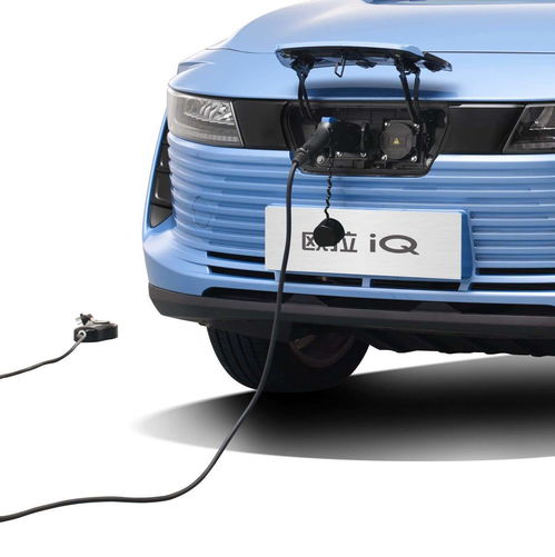 土豆泥饼的做法窍门（土豆泥饼的制作）,土豆泥饼的做法窍门（土豆泥饼的制作）,第1张