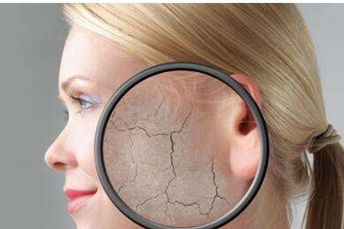 办公室装饰:华帝E805A抽油烟机:你不知道的故事,第2张 办公室装饰:华帝E805A抽油烟机:你不知道的故事,办公室装饰:华帝E805A抽油烟机:你不知道的故事,第2张