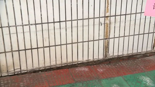 厦门家装(厦门加装电梯墙体开裂),第1张 厦门家装(厦门加装电梯墙体开裂),厦门家装(厦门加装电梯墙体开裂),第1张