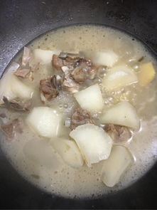 白萝卜炖羊肉的家常做法(清炖羊肉白萝卜的正宗做法及配料),第1张 白萝卜炖羊肉的家常做法(清炖羊肉白萝卜的正宗做法及配料),白萝卜炖羊肉的家常做法(清炖羊肉白萝卜的正宗做法及配料),第1张