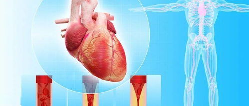 胃寒怎么调理(胃寒怎么调理最快最有效),第3张 胃寒怎么调理(胃寒怎么调理最快最有效),胃寒怎么调理(胃寒怎么调理最快最有效),第3张