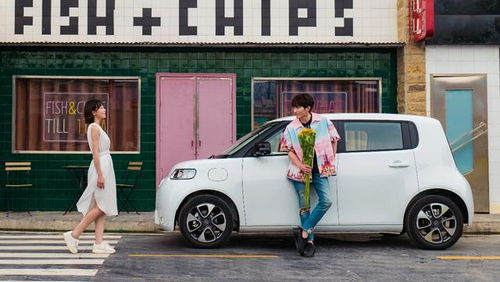 欧拉白猫(欧拉白猫汽车),第3张 欧拉白猫(欧拉白猫汽车),欧拉白猫(欧拉白猫汽车),第3张