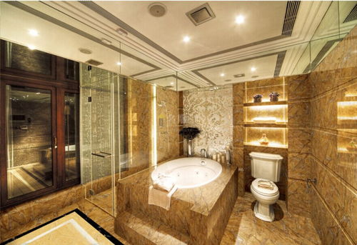 卫生间豪华装修(卫生间豪华装修效果图),第2张 卫生间豪华装修(卫生间豪华装修效果图),卫生间豪华装修(卫生间豪华装修效果图),第2张