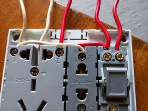 双插座（双插座接电线正确接法）,双插座（双插座接电线正确接法）,第3张