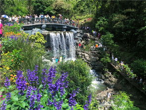 横滨轮胎官网（横滨轮胎官网价格表23565R17）,横滨轮胎官网（横滨轮胎官网价格表23565R17）,第2张