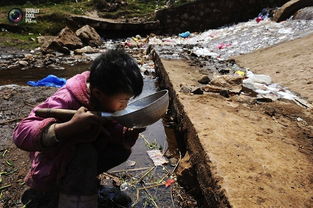 腌萝卜条的方法(腌萝卜条的方法和步骤),第3张 腌萝卜条的方法(腌萝卜条的方法和步骤),腌萝卜条的方法(腌萝卜条的方法和步骤),第3张