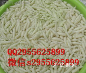 凉粉的做法大全(槐花凉粉的做法大全),第2张 凉粉的做法大全(槐花凉粉的做法大全),凉粉的做法大全(槐花凉粉的做法大全),第2张