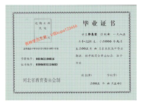 办公室装修设计公司:从篮球鞋到都市通勤,让格子布面料成为时尚界的新宠,第3张 办公室装修设计公司:从篮球鞋到都市通勤,让格子布面料成为时尚界的新宠,办公室装修设计公司:从篮球鞋到都市通勤,让格子布面料成为时尚界的新宠,第3张