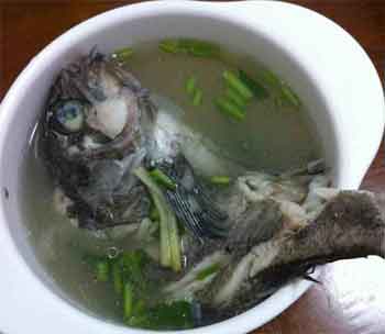 手术清炖黑鱼汤的做法(手术清炖黑鱼汤的做法视频),第2张 手术清炖黑鱼汤的做法(手术清炖黑鱼汤的做法视频),手术清炖黑鱼汤的做法(手术清炖黑鱼汤的做法视频),第2张