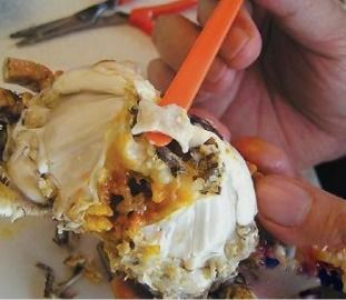 螃蟹的吃法图解(螃蟹的吃法图解说明),第1张 螃蟹的吃法图解(螃蟹的吃法图解说明),螃蟹的吃法图解(螃蟹的吃法图解说明),第1张