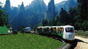 自驾游张家界旅游费用(自驾游张家界出色的卓越的优异的杰出的路线),第2张 自驾游张家界旅游费用(自驾游张家界出色的卓越的优异的杰出的路线),自驾游张家界旅游费用(自驾游张家界出色的卓越的优异的杰出的路线),第2张