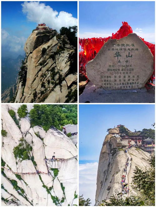 面包机蛋糕的做法（面包机蛋糕的做法家庭做法视频大全）,面包机蛋糕的做法（面包机蛋糕的做法家庭做法视频大全）,第3张