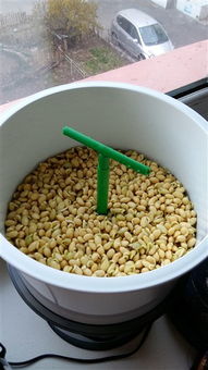 办公室设计装修公司:"听力障碍者的福音!购买助听器的完全指南",第3张 办公室设计装修公司:"听力障碍者的福音!购买助听器的完全指南",办公室设计装修公司:"听力障碍者的福音!购买助听器的完全指南",第3张