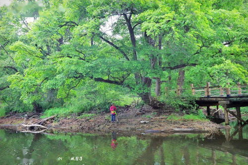 吊水壶国家森林公园(黑龙江吊水壶国家森林公园),第1张 吊水壶国家森林公园(黑龙江吊水壶国家森林公园),吊水壶国家森林公园(黑龙江吊水壶国家森林公园),第1张