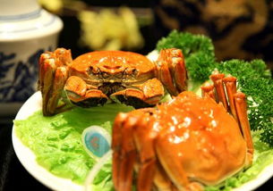 狗肉炖什么最壮阳最硬(女人吃什么能提高性能功能),第2张 狗肉炖什么最壮阳最硬(女人吃什么能提高性能功能),狗肉炖什么最壮阳最硬(女人吃什么能提高性能功能),第2张