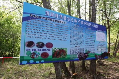 大兴安岭招聘(大兴安岭招聘看林人),第2张 大兴安岭招聘(大兴安岭招聘看林人),大兴安岭招聘(大兴安岭招聘看林人),第2张