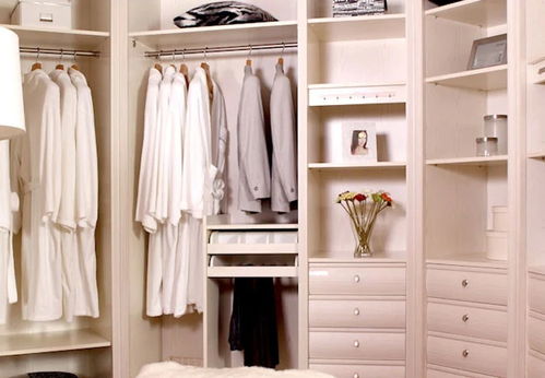 办公空间装修：探寻当下最强大的数码相机：测试与评测,办公空间装修：探寻当下最强大的数码相机：测试与评测,第2张