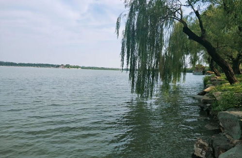 装潢公司:如何轻松疏通冰箱冷藏室的排水孔?,第3张 装潢公司:如何轻松疏通冰箱冷藏室的排水孔?,装潢公司:如何轻松疏通冰箱冷藏室的排水孔?,第3张