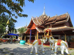 春节哪里适合旅游(春节哪里适合旅游 不冷的地方),第2张 春节哪里适合旅游(春节哪里适合旅游 不冷的地方),春节哪里适合旅游(春节哪里适合旅游 不冷的地方),第2张