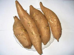 厨房玻璃隔断(厨房玻璃隔断能开通燃气吗),第1张 厨房玻璃隔断(厨房玻璃隔断能开通燃气吗),厨房玻璃隔断(厨房玻璃隔断能开通燃气吗),第1张