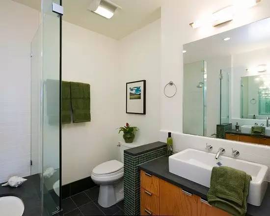 客厅隔断装修效果图(卫生间门与客厅隔断装修效果图),第3张 客厅隔断装修效果图(卫生间门与客厅隔断装修效果图),客厅隔断装修效果图(卫生间门与客厅隔断装修效果图),第3张