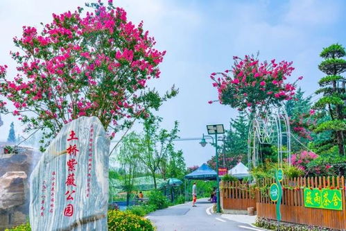 仙村紫薇公园(仙村紫薇公园做餐饮可以吗),第2张 仙村紫薇公园(仙村紫薇公园做餐饮可以吗),仙村紫薇公园(仙村紫薇公园做餐饮可以吗),第2张