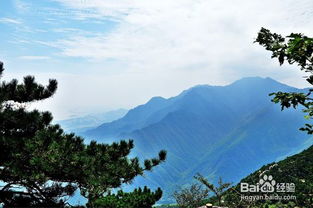庐山旅游攻略一日游路线图(庐山旅游攻略一日游路线图片),第1张 庐山旅游攻略一日游路线图(庐山旅游攻略一日游路线图片),庐山旅游攻略一日游路线图(庐山旅游攻略一日游路线图片),第1张